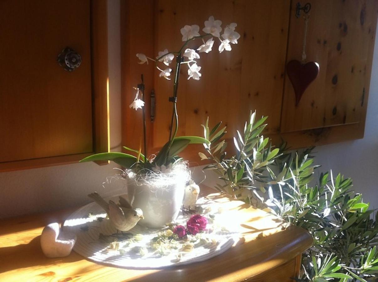 Pension Und Apartment Edelweiss Bed & Breakfast 3*